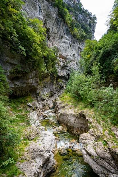 El río Bellós a su paso por el cañón del Añisclo.