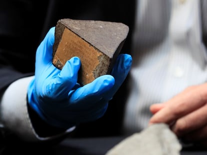 El director del Museo Nacional de Ciencias Naturales, Rafael Zardoya, muestra el meteorito de Reliegos recuperado este miércoles