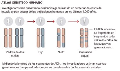 Fuente: Atlas Genético Humano (UCL, Universidad de Oxford Instituto Max Planck).