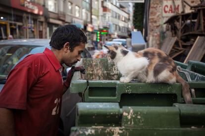 Ibrar busca en los rincones de la ciudad turca con la única compañía de los gatos callejeros y su cometido claro a cada paso: él completará su año fuera de casa y regresará junto a su familia.