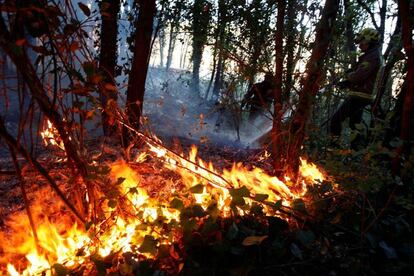 Un incendio afecta el Baix Empordà.