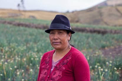 Hortensia Chugchilán, guardiana de las semillas, en la comunidad de Casa Quemada, en Cotopaxi (Ecuador), en noviembre de 2023.