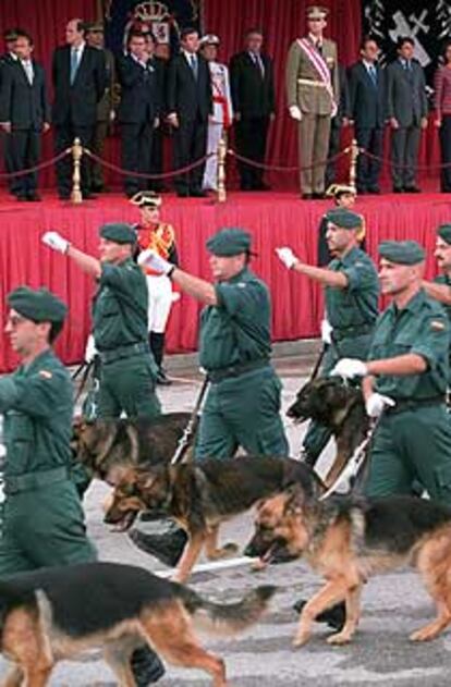 El príncipe Felipe observa el paso de las unidades caninas en el desfile de Valdemoro.