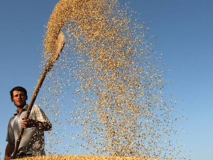 “O PL dos agrotóxicos vai ter um impacto direto na saúde do trabalhador rural”