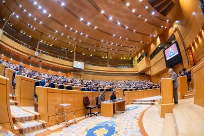 Un momento del pleno de este miércoles del Congreso, reunido excepcionalmente en el Senado.