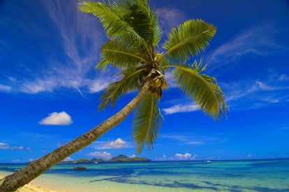Fiji sigue siendo la imagen más típica de las idílicas islas de los Mares del Sur: 300 islas para elegir, gente amable, playas con palmeras y arrecifes llenos de peces.