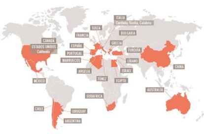 Distribución global de la producción de garnacha.