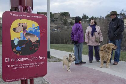 Vecinos de la Seu paseando sus perros 