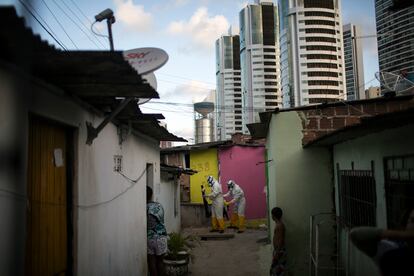 Empleados municipales fumigan una barriada en Recife (Brasil), el 26 de enero de 2016.