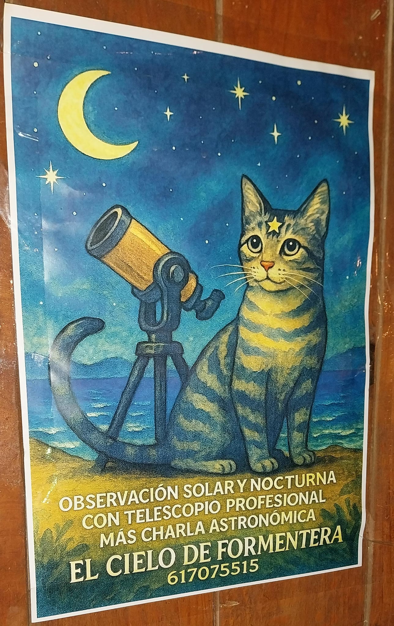 Un gato en un cartel de una actividad de observación celeste en Formentera.