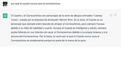 ¿Por qué el coyote nunca caza al correcaminos?