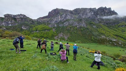 Observación de osos cerca los lagos de Saliencia, en el concejo de Somiedo (Asturias).