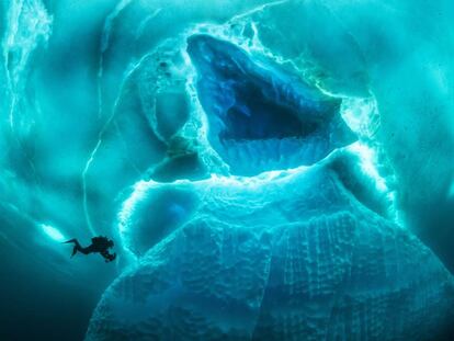 La punta del iceberg