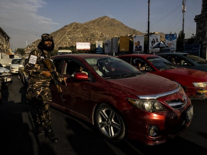 Un soldado talibán controla el tráfico en una rotonda donde han exhibido para su escarnio público a un grupo de ladrones. Se les ha acusado de aterrorizar y robar a personas a punta de pistola. Según la milicia, tienen pruebas del delito y les confiscaron las armas que usaron mientras cometían un atraco.