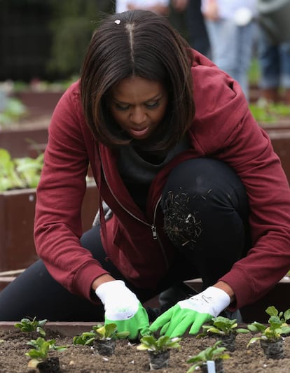 Michelle Obama fotografiada en la huerta de la Casa Blanca en abril de 2015.