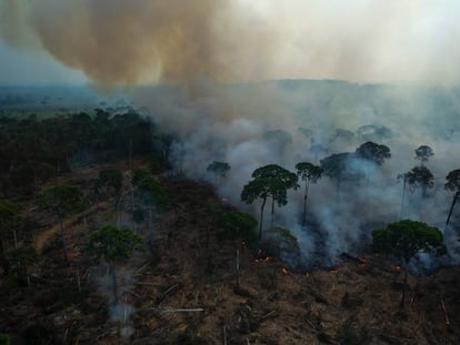 Vista aérea de la quema ilegal de la Amazonía, en Brasil.