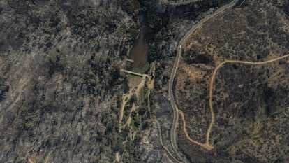 incendios forestales chile