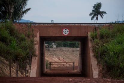 Passagem construída embaixo do trilho do trem na terra do fazendeiro para o boi.