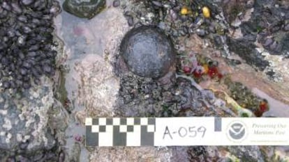 Una de las balas de cañon encontradas por los investigadores.