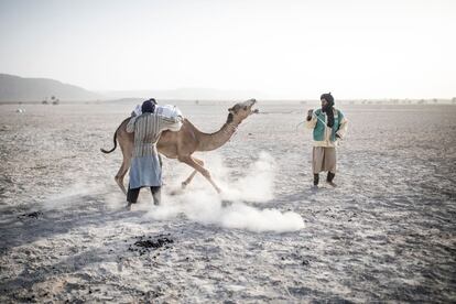 Dos hombres cargan en un camello sacos de sal obtenida de los campos que hay en los alrededores de Tichit. La región donde se encuentra esta joya olvidada también es hogar de una larga formación de acantilados de arenisca que marcan la frontera norte de la depresión de Hodh, cerca de un antiguo lago llamado Aoukar. La cuenca de Aoukar es una región natural seca de dunas de arena y salinas. La temperatura media en Mauritania es de 32ºC, aquí mucho más.