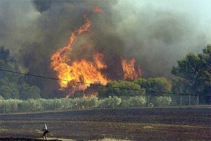 Las llamas queman una zona de árboles en la localidad de Cistella (Girona).
