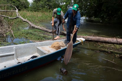 Pescadores recogen basura en el gran pantano de Barrancabermeja (Colombia).