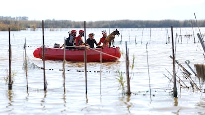 Miembros de la Unidad Militar de Emergencias (UME) participan en la búsqueda de desaparecidos por la dana en la Albufera de Valencia, el pasado noviembre.