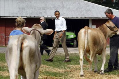 Obama mira unas reses que participan en un concurso vacuno durante su visita a Morrison (Illinois).