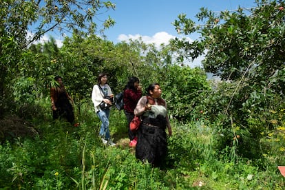 Las mujeres del Taller Leñateros pasean en el huerto de Paulina, quien cosechas las flores pensamiento para elaborar el papel artesanal.