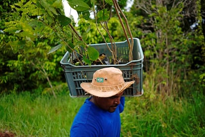 El activista Josafa Santos durante un proyecto de reforestaión en Nova Mutum, Brasil, a principios de 2020.