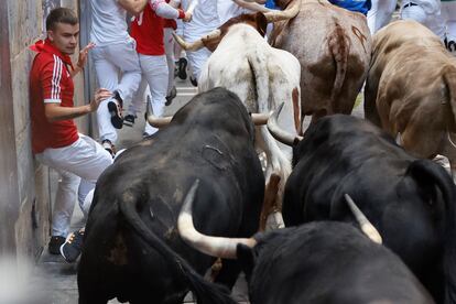 Un mozo junto a los toros de Jandilla a su llegada a la calle Estafeta, este viernes.