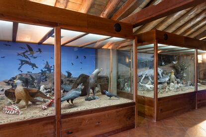 La Casa de los Buitres, centro de divulgación naturalista en Santa Cilia de Panzano.