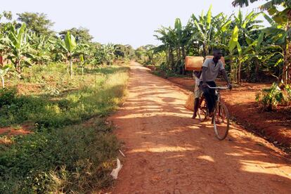 Es el medio de transporte estrella en África. Y para las distancias largas la bicicleta soluciona alguna que otra papeleta. Los caminos de tierra roja hablan de la fertilidad de la región.