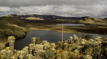 Las lagunas de El Voladero son uno de los principales atractivos turísticos de la reserva.