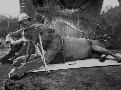 El coronel británico J.H. Patterson posa en Tsavo (Kenia) junto al primero de los dos leones que mató en diciembre de 1898.