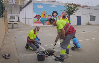 Operarios durante los trabajos de inspección y control sanitario en un colegio de Sevilla, en una imagen publicada en X el 1 de septiembre por el Ayuntamiento de Sevilla.