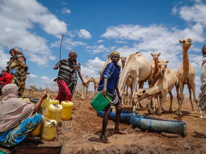 Unos pastores dan agua a sus camellos en un pozo en el condado de Garissa, Kenia, el 27 de octubre de 2021.