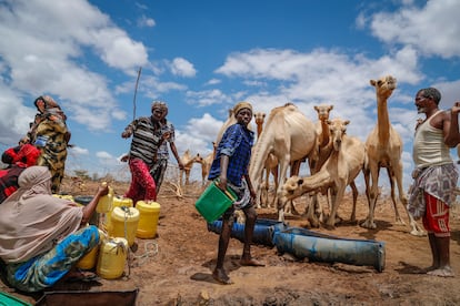 Unos pastores dan agua a sus camellos en un pozo en el condado de Garissa, Kenia, el 27 de octubre de 2021.