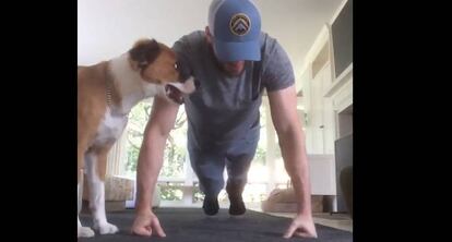 Chris Evans durante el reto '22 push-up challenge'.