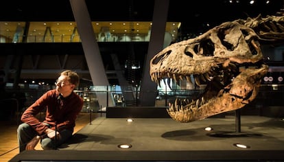 El paleóntologo Anne Schulp, junto al fósil de tiranosaurio en el Cosmocaixa de Barcelona.
