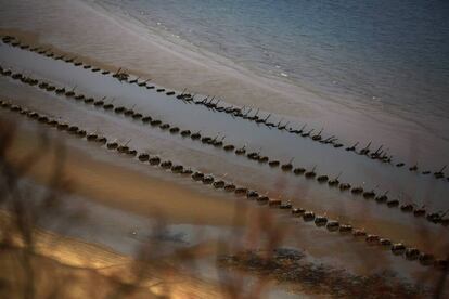 Barreras anti-aterrizaje colocadas por militares de Corea del Sur. Se ven durante la marea baja en la playa en la isla de Baengnyeong que se encuentra en el lado surcoreano de la Línea Límite Norte (LLN) en el Mar Amarillo. 13 de abril 2014.