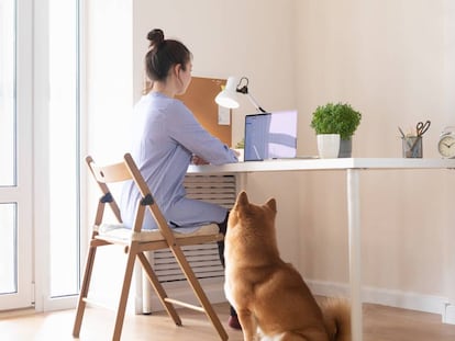 Se estabiliza el teletrabajo ocasional en las empresas