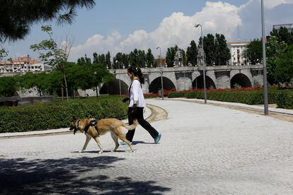 Una mujer pasea con su perro por Madrid Río, abierto en la fase 1 de la desescalada.