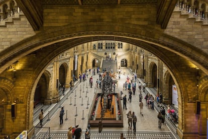 Ocho millones de especímenes y miles de millones de años de historia: este museo es capaz de embutir las eras en su monumental espacio. Aquí se aprenderá sobre huesos de dinosaurios, mariposas, ballenas azules y bebés humanos; también sobre volcanes e incluso el Big Bang. Este museo (www.nhm.ac.uk), pozo de conocimiento, tesoros e investigación, ocupa un majestuoso edificio londinense abierto al público en 1881; de estilo neorromántico alemán, se adorna con relieves y gárgolas zoomorfas.