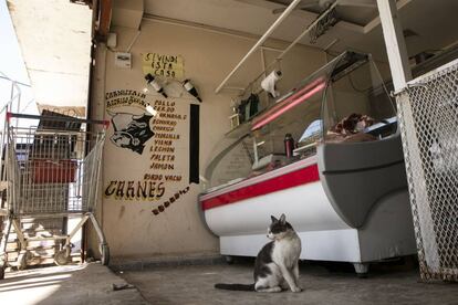 Un gato espera alg&uacute;n corte de carne que le salve el d&iacute;a.