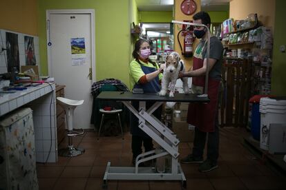 Carme y Miquel denuncian cortes de luz intermitentes en sus viviendas desde hace días.