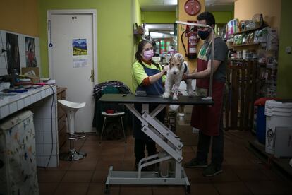 Carme y Miquel denuncian cortes de luz intermitentes en sus viviendas desde hace días. 
