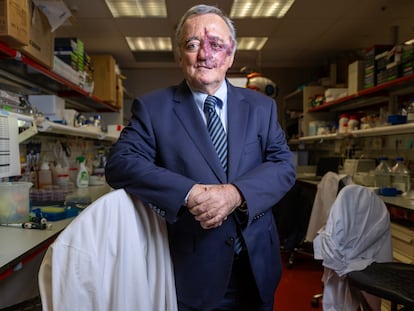 Estudio de Barbacid cáncer de páncreas
