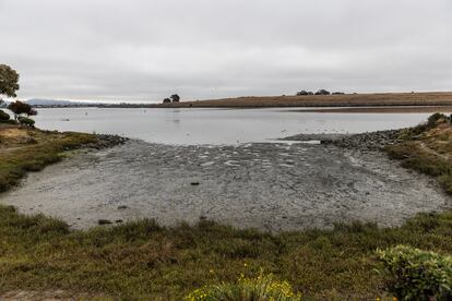 Vista panorámica de las aguas contaminadas alrededor del distrito de Bay Farm Island, en la ciudad californiana de Alameda, el 25 de agosto de 2022.