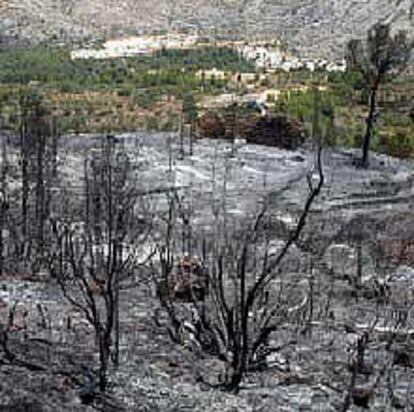 Efectos del fuego sobre una de las zonas próximas a Parcent.